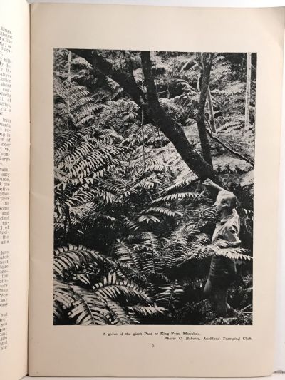 THE BOTANY OF AUCKLAND