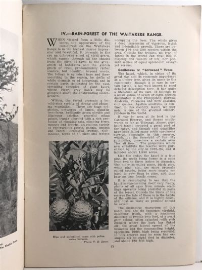 THE BOTANY OF AUCKLAND
