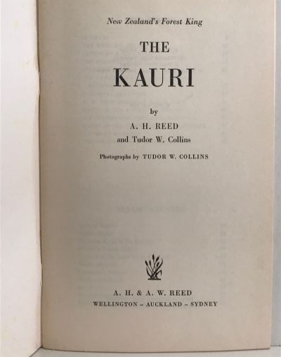 THE KAURI: New Zealand's Forest King