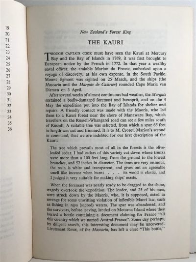 THE KAURI: New Zealand's Forest King