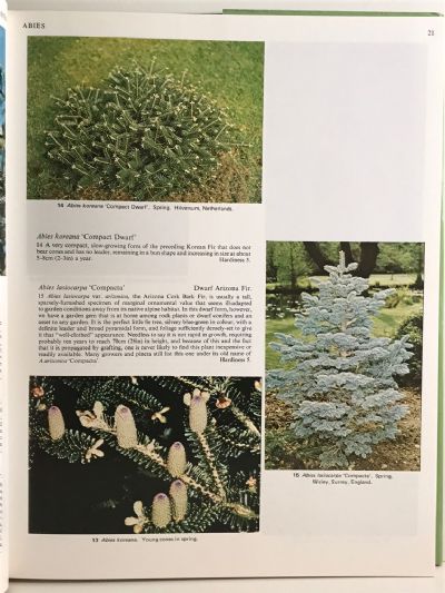 THE REED KNOW YOUR GARDEN SERIES: Ornamental Conifers