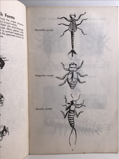 NYMPHS FOR ALL SEASONS: A Book for Trout Fishermen