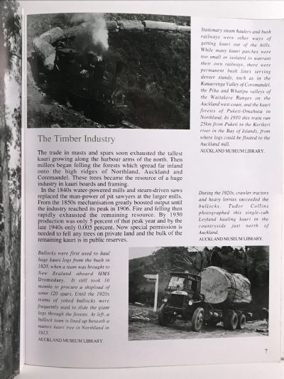 KAURI: Past & Present