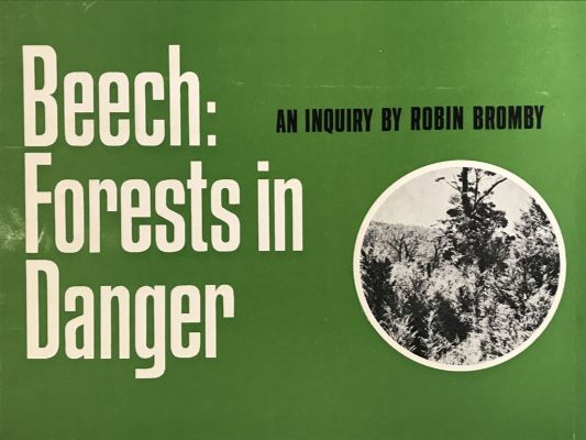 BEECH: Forests in Danger - an inquiry 