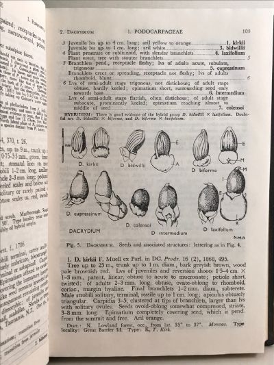 FLORA OF NEW ZEALAND: Volume I