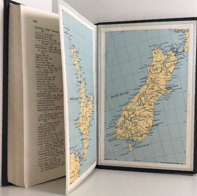 FLORA OF NEW ZEALAND: Volume I