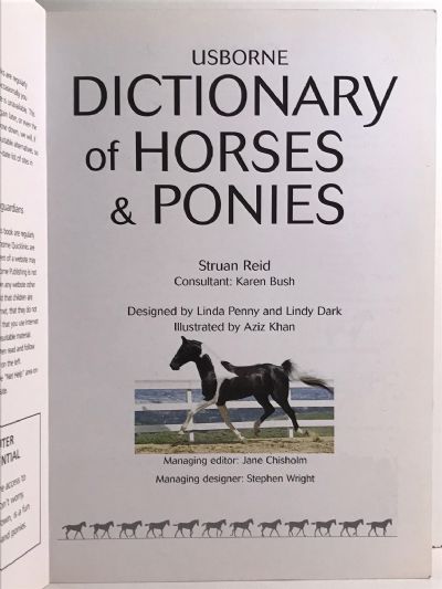 USBORNE DICTIONARY OF HORSES & PONIES: A Complete Guide to Riding and Pony Care
