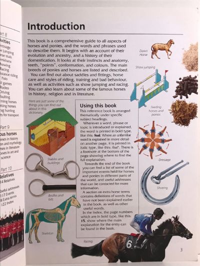 USBORNE DICTIONARY OF HORSES & PONIES: A Complete Guide to Riding and Pony Care