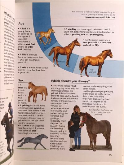 USBORNE DICTIONARY OF HORSES & PONIES: A Complete Guide to Riding and Pony Care