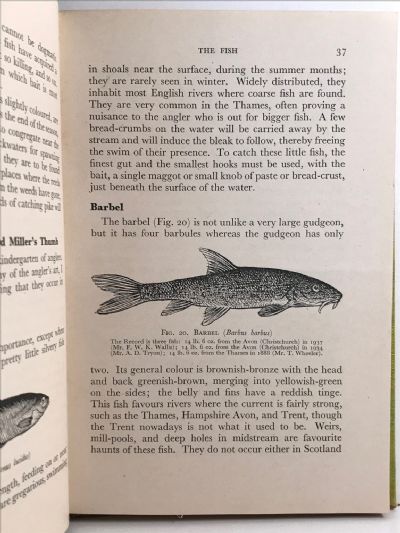 FISHING: A Comprehensive Guide to Freshwater Angling