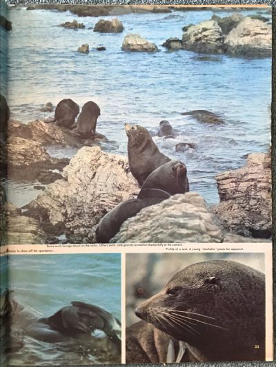 OLD NEWSPAPER: New Zealand Weekly News - No. 5329, 12 January 1966