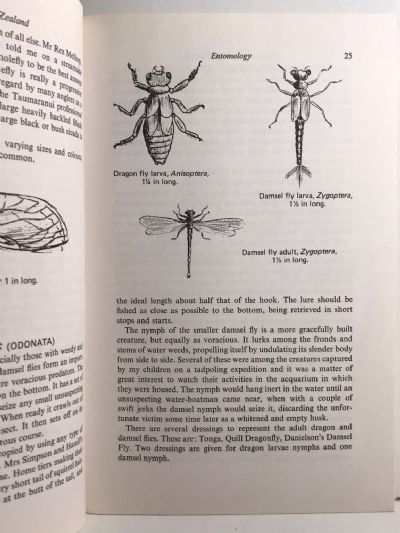 TROUT FLIES IN NEW ZEALAND