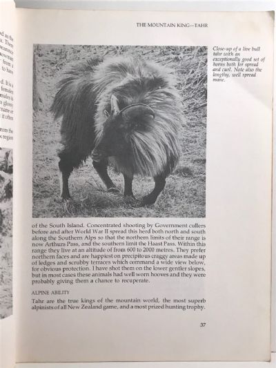 TRUE HUNTING ADVENTURES
