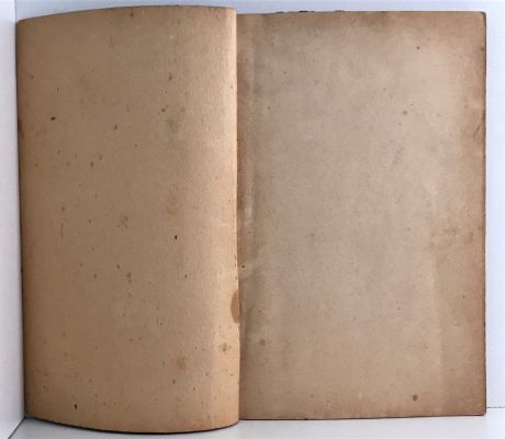 STRANGE STORIES FROM THE SOUTH SEAS