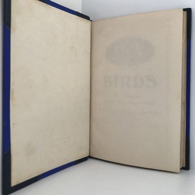 NZ NATIVE BIRD PROTECTION SOCIETY: Bulletins 7-20, 1924 to 1930