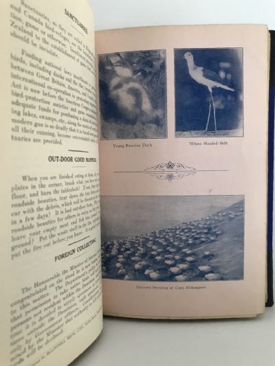 NZ NATIVE BIRD PROTECTION SOCIETY: Bulletins 7-20, 1924 to 1930
