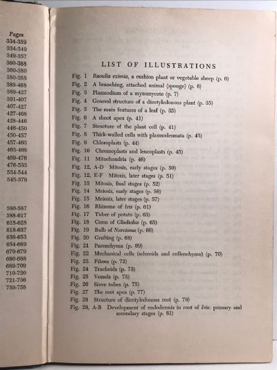 AUSTRALIAN AND NEW ZEALAND BOTANY