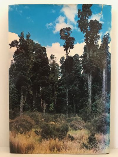 THE FOREST WORLD OF NEW ZEALAND: Realm of Tane-Mahuta