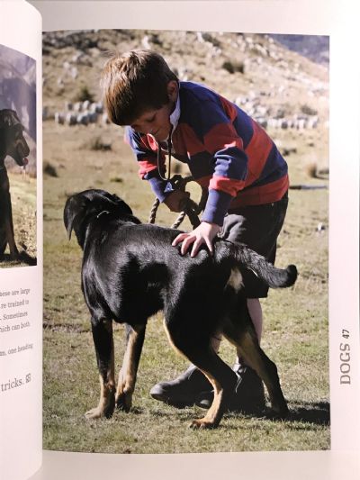 BEN & MARK: Boys of the High Country