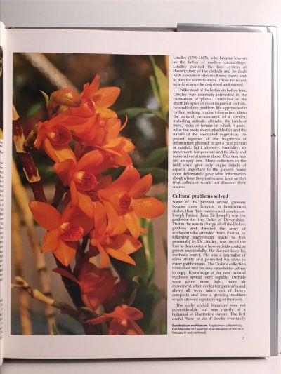THE NEW ZEALAND ORCHID GROWER