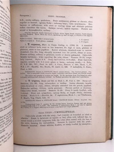 FLORA OF NEW ZEALAND: And the outlying Islands