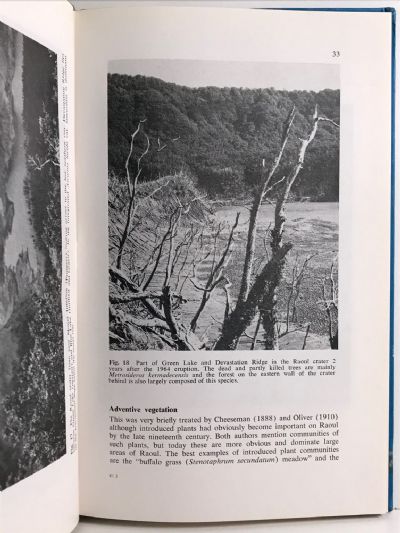 KERMADEC ISLANDS FLORA: An annotated check list