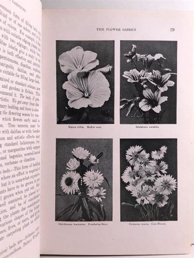 MANUAL OF GARDENING IN NEW ZEALAND
