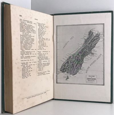 NEW ZEALAND TREES & SHRUBS: How to identify them
