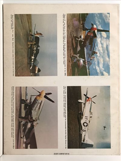 ACES OF THE EIGHTH: Fighter Pilots, Planes and Outfits of The VIII Air Force
