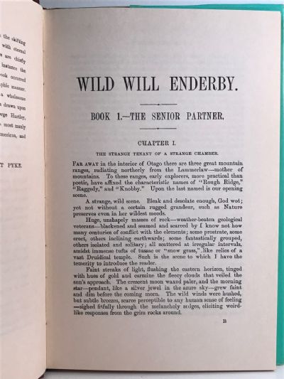 WILD WILL ENDERBY: A Story of the New Zealand Gold Fields