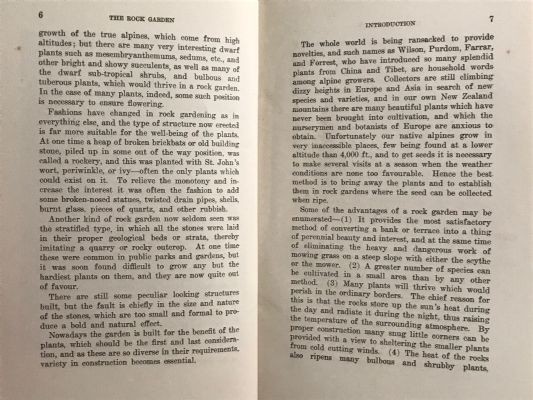 ROCK GARDENING IN NEW ZEALAND