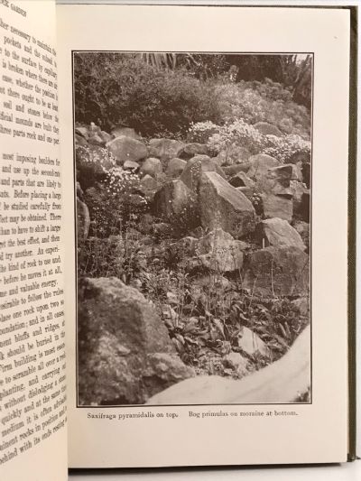 ROCK GARDENING IN NEW ZEALAND