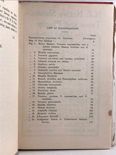 THE CULTIVATION OF NEW ZEALAND PLANTS