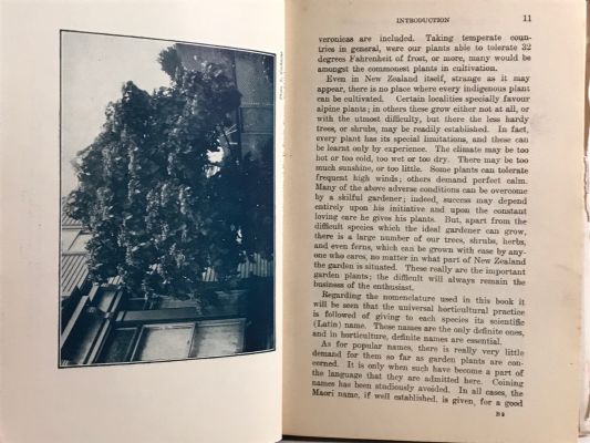 THE CULTIVATION OF NEW ZEALAND PLANTS