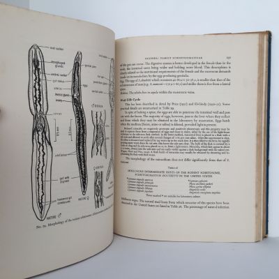Introduction to Animal Parasitology