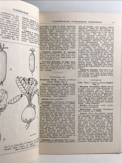 POISONOUS PLANTS IN NEW ZEALAND