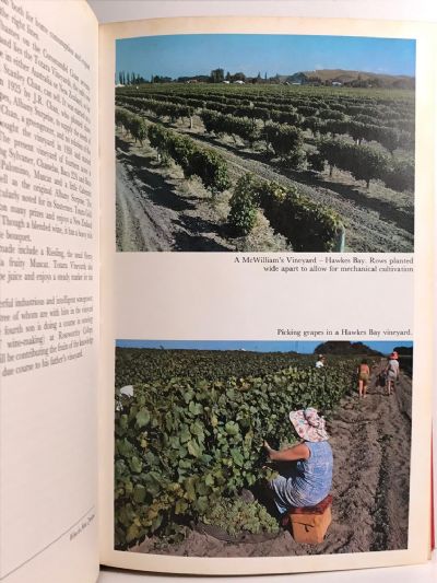WINE IN NEW ZEALAND