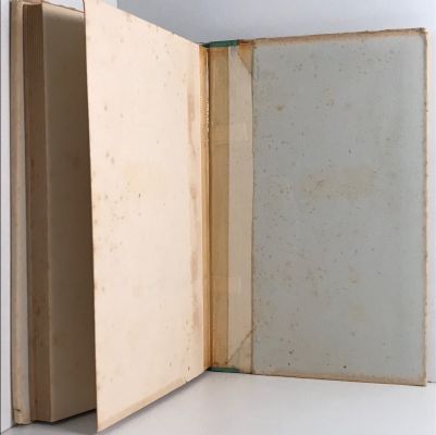 RAMBLES IN NEW ZEALAND 1839