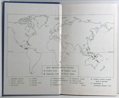 SEA TURTLES: Natural History and Conservation