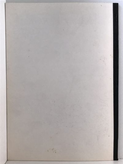 HISTORICAL REVIEW: Bay of Plenty Journal of History - Vol. 33, No. 2 - November 1985