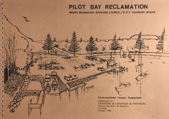 PILOT BAY RECLAMATION: Environmental Impact Assessment 