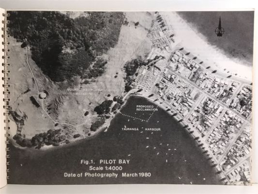 PILOT BAY RECLAMATION: Environmental Impact Assessment