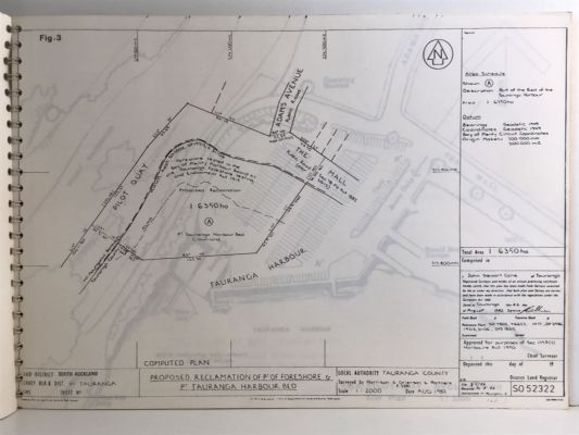PILOT BAY RECLAMATION: Environmental Impact Assessment