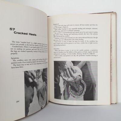 The Horse Owners Vet Book
