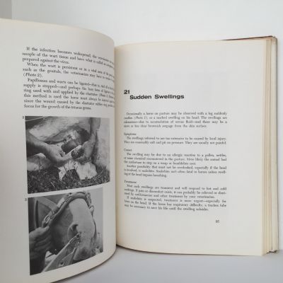 The Horse Owners Vet Book