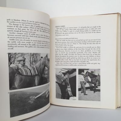 The Horse Owners Vet Book