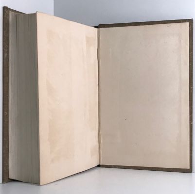THE NEW ZEALAND DIVISION 1916-1919