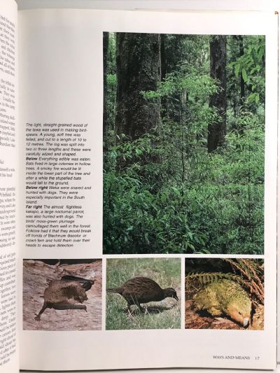 THE NATURAL WORLD OF THE MAORI