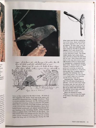 THE NATURAL WORLD OF THE MAORI