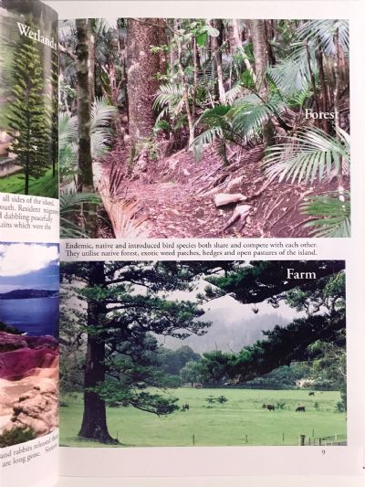 NORFOLK ISLAND...the birds